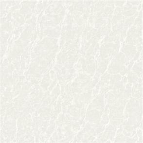 Polished porcelain tiles AZ6015P