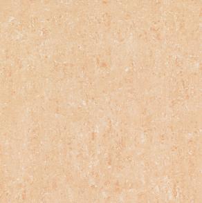 Polished porcelain tiles  B6010P