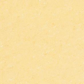 Polished porcelain tiles  D6304P