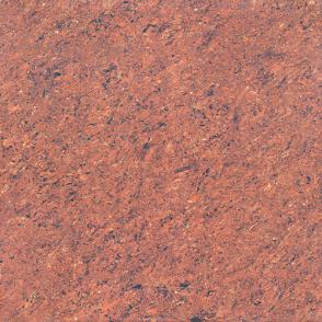 Polished porcelain tiles  D6310P