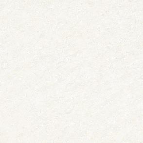 Polished tiles E6402P E8402P