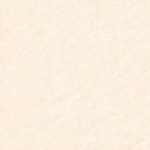 Polished tiles E6404P E8404P