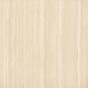 Polished tiles PK8902P