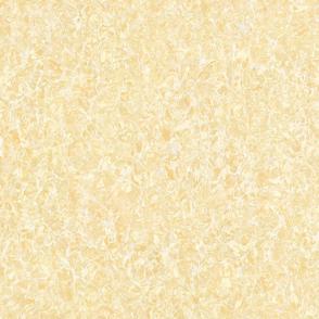 Polished porcelain tiles PB6822P PB8822P