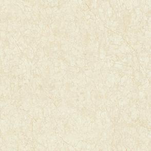 Polished porcelain tiles PI8863P