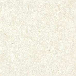 Polished porcelain tiles PI8861P