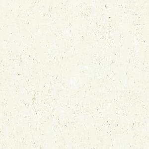 Travertine PH6905M PH8905M