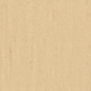 Polished-Matt-Rustic T6003M