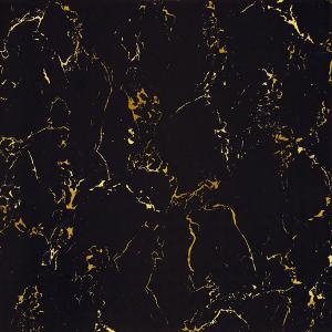 Full cast Glazed tiles SX6003P SX8003P