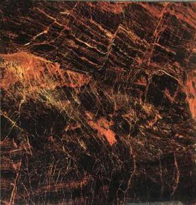 Full cast Glazed tiles SX6009P SX8009P