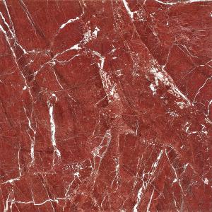 Full cast Glazed tiles SX6010P SX8010P