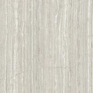 Full cast Glazed tiles SX6021P SX8021P