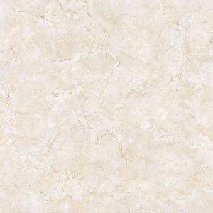 Full cast Glazed tiles SX6022P SX8022P