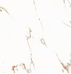 Full cast Glazed tiles SX6025P SX8025P