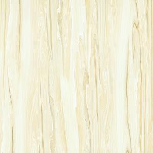 Full cast Glazed tiles SX6037P SX8037P