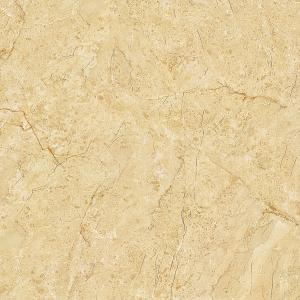 Full cast Glazed tiles SX6043P