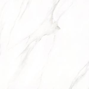 Full cast Glazed tiles SX6055P SX6055M