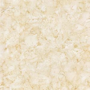 Full cast Glazed tiles SX6072P SX8072P