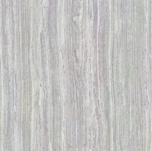 Full cast Glazed tiles SX6105P SX8105P