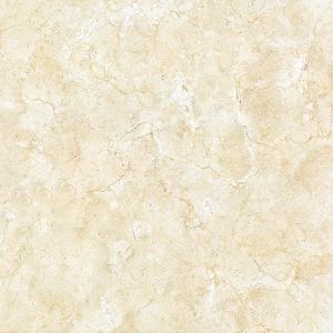 Full cast Glazed tiles SX6109P