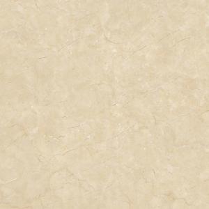 Full cast Glazed tiles SX6111P