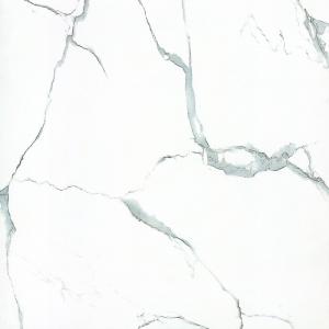 Full cast Glazed tiles SX8089P