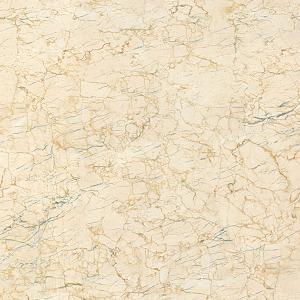 Marble tiles SXD8017P