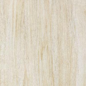 Antique Tiles J6116M