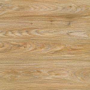 Antique Tiles J6240M