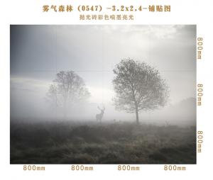Background wall 0547
