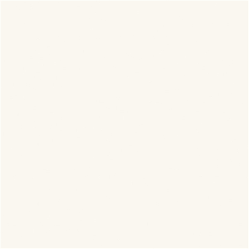 Polished pocerlain tiles C6201P