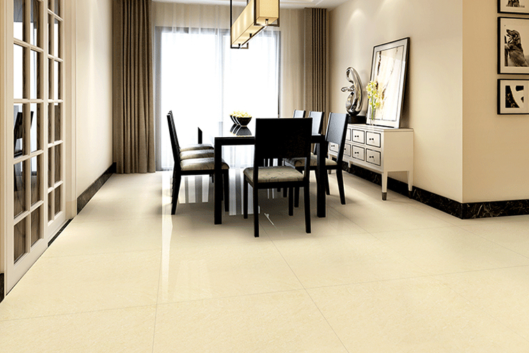 Polished tiles E6401P E8401P